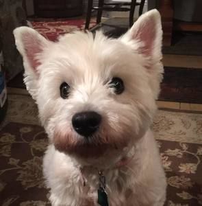 Meet your Posher, Brenda